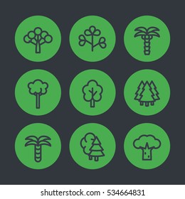Trees line icons set, palms, firs, baobab, eucalyptus and bushes