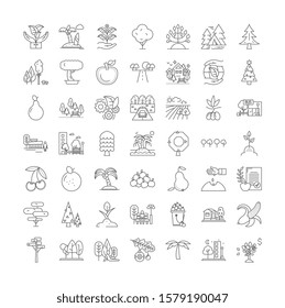Trees linear icons, signs, symbols vector line illustration set