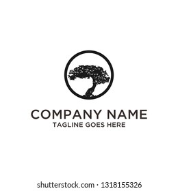 Trees logo design template. Awesome trees with circle logo. A modern trees with circle  logotype.