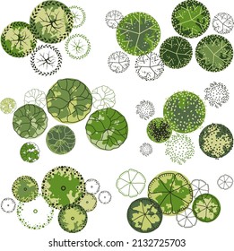 Trees for the master plan. Tree for architectural floor plans. Entourage design. Various trees, bushes, and shrubs, top view for the landscape design plan.