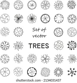 Trees for the master plan. Tree for architectural floor plans. Entourage design. Various trees, bushes, and shrubs, top view for the landscape design plan. Vector illustration.