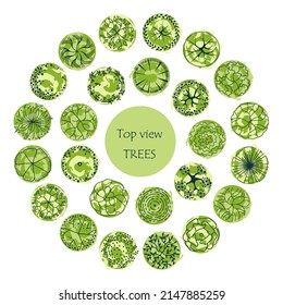 Trees for the master plan. Tree for architectural floor plans. Entourage design. Various trees, bushes, and shrubs, top view for the landscape design plan. Vector illustration.