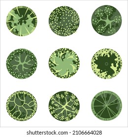 Trees for the master plan. Tree plans for architectural floor plans or landscape designs. Entourage design. Various trees, bushes, and shrubs, top view for the landscape design plan. Vector.