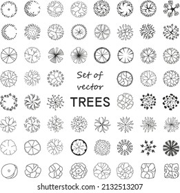 Trees for the master plan. Tree plans for architectural floor plans or landscape designs.