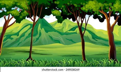 Trees and mountains at the forest