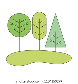 trees natural forest botanical image