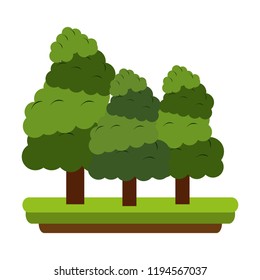 Trees at nature