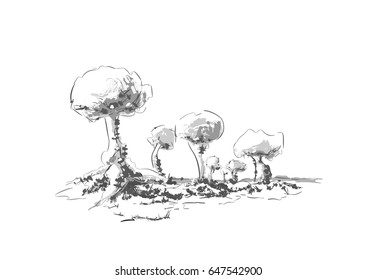 Trees, nature, drawn by hand on a white background
