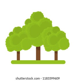Trees nature isolated