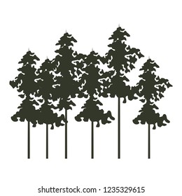 Trees nature landscape