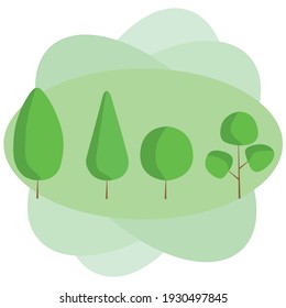 Trees in nature, in the park And image tree background in nature