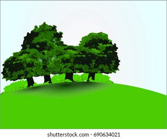  trees on the curve of ground  in a day 