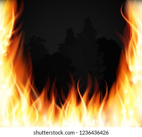 Trees on fire. Fire. Burning Fire Special Light Effect Flames. Vector Illustration EPS10