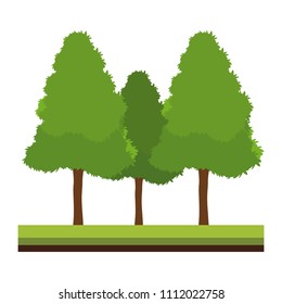 Trees on ground