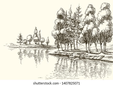 Trees on lake shore or river bank vector drawing