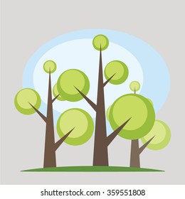 the trees on the lawn 1
