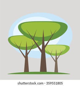 the trees on the lawn 3