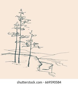 Trees on the slope