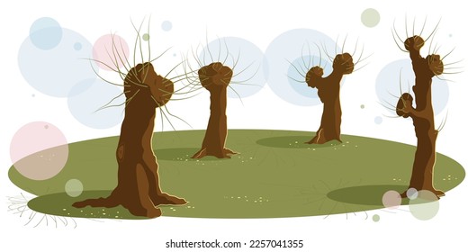 Trees on a spring meadow. Vector illustration.