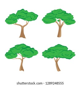 
Trees on a white background