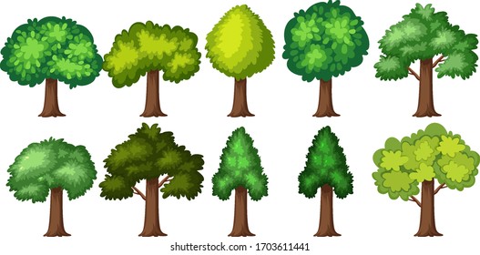 Bäume auf weißem Hintergrund, Vektorgrafik