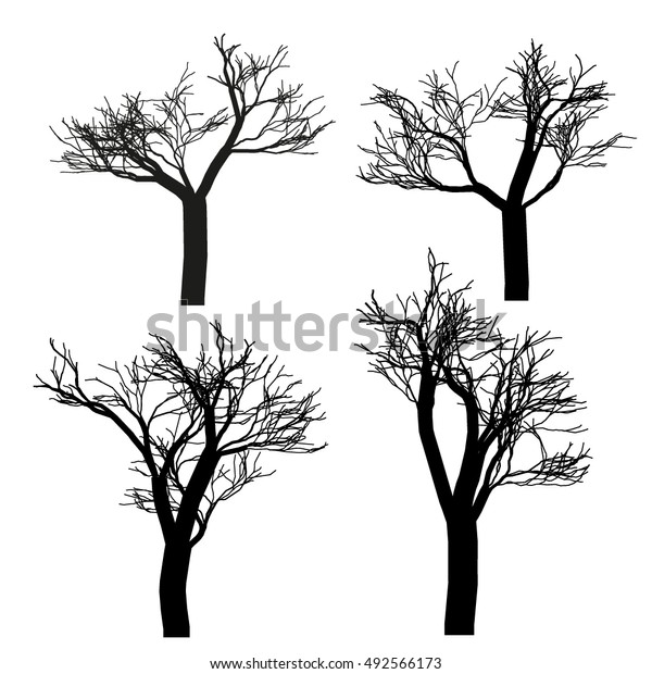 Trees On White Background Vector Illustration Stock Vector (Royalty