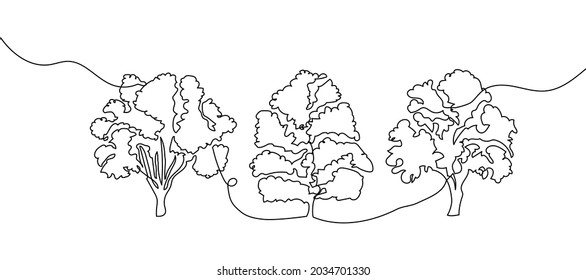 Bäume eine Reihe von Kunstwerken. Kontinuierliche Linienzeichnung von Pflanzen, Kräutern, Baum, Holz, Natur, Flora, Pappel, Ahorn, Asche Baum, Leinen.