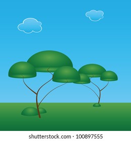 Trees with an oval crown. Vector illustration.
