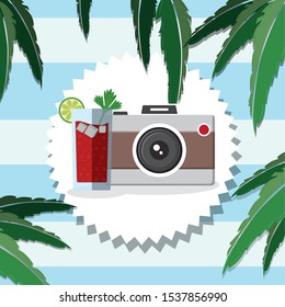 trees palms beach scene with cocktail and camera vector illustration design