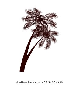 trees palms natural icon