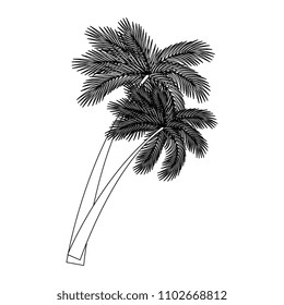 trees palms natural icon