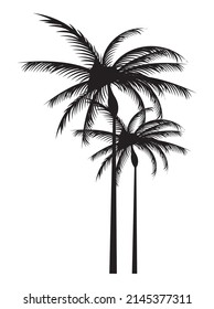 trees palms silhouettes summer icons