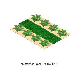 Trees of a park flower bed urban landscape isometric view of design elements set.