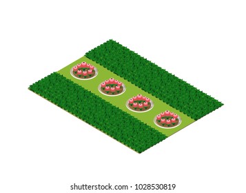 Trees of a park flower bed urban landscape isometric view of design elements set.