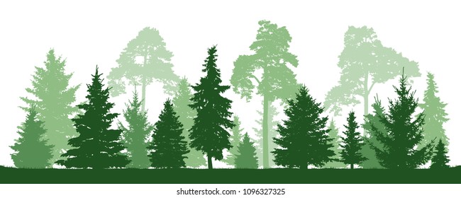 Trees pine, fir, spruce, christmas tree. Coniferous forest, vector silhouette