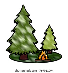 Trees pines and bonfire