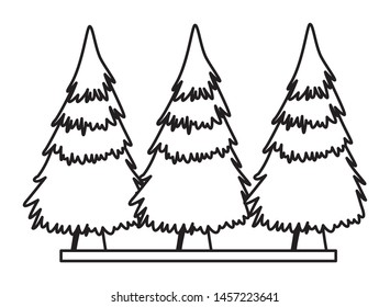 Trees pines on grass nature scenery ,vector illustration graphic design.