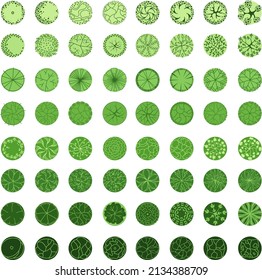 Trees for the plan. Tree for architectural floor plans. Entourage design. Various trees, bushes, and shrubs, top view for the landscape design plan. Vector illustration.