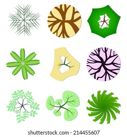 Trees, plant , flower set items top view for garden landscape design / vector icon