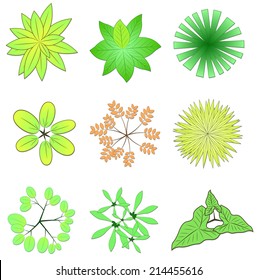 Trees, plant , flower set items top view for garden landscape design / vector icon
