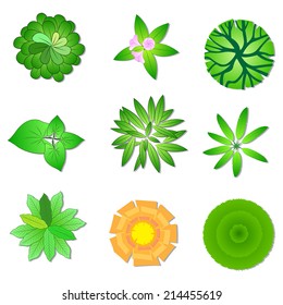 Trees, plant , flower set items top view for garden landscape design / vector icon