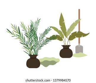 trees to plant isolated icon