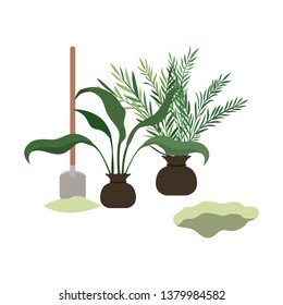 trees to plant isolated icon