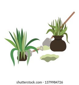 trees to plant isolated icon