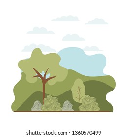 trees plant with landscape isolated icon