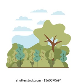 trees plant with landscape isolated icon