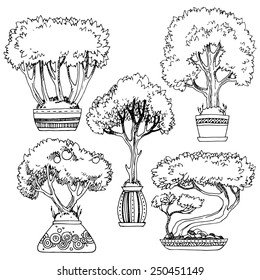 Trees in a plant pot, a set of trees.
