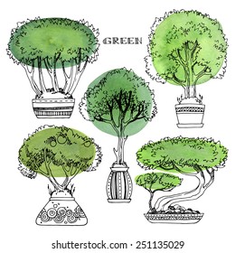 Trees in a plant pot, a set of trees, painted in watercolor, hand painted design elements.