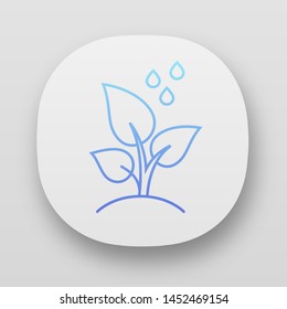 Trees planting app icon. Reforestation volunteer project. Small plant and water drops. Care of young seedling. UI/UX user interface. Web or mobile applications. Vector isolated illustrations