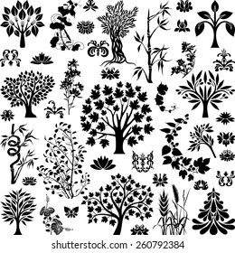 Trees and plants